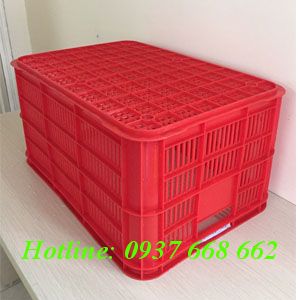 Mặt đáy thùng nhựa rỗng Ha004 - Kt: 610x420x310 mm. Màu đỏ