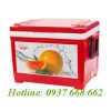 Cạnh bên thùng đá (thùng giữ lạnh) Hibox 35L. Kích thước: 533x355x69 mm.