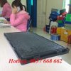 Mặt đáy khay gieo mạ. Kích thước: 600x300x35 mm